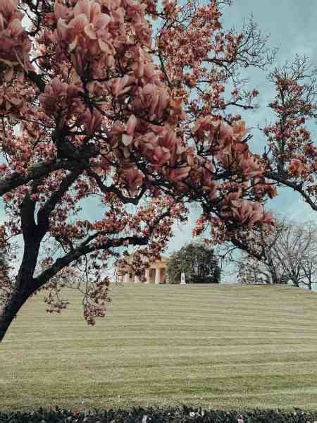 arlington va date ideas|TOP 10 BEST Fun Date Ideas near you in Arlington, VA .
